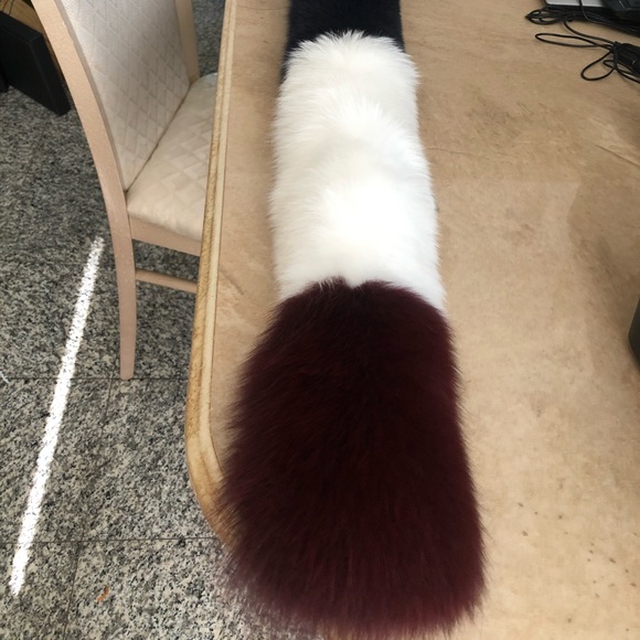 FOX - Picture 11 of 16